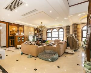 电梯洋房,高楼层,精装,南北通透,中间位置