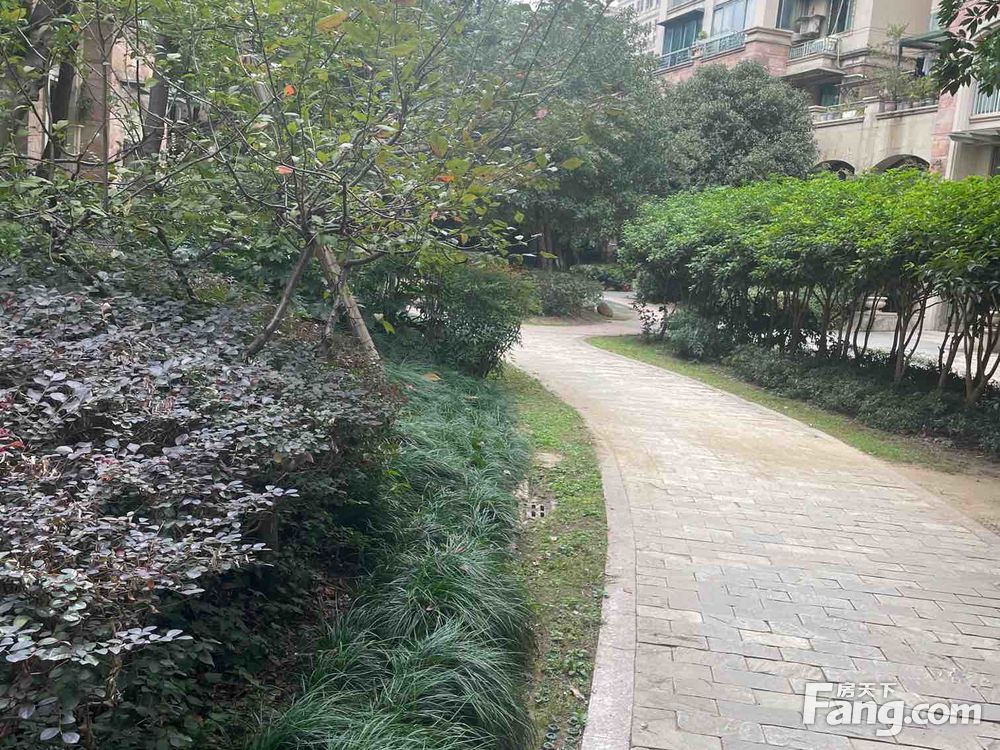 小区图