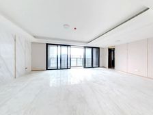 三江口 新世界 261平 奢阔大平层 4房2厅3卫 精装