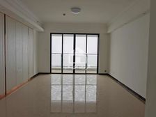 江景房 高楼层 大平层 227平米 真实出售