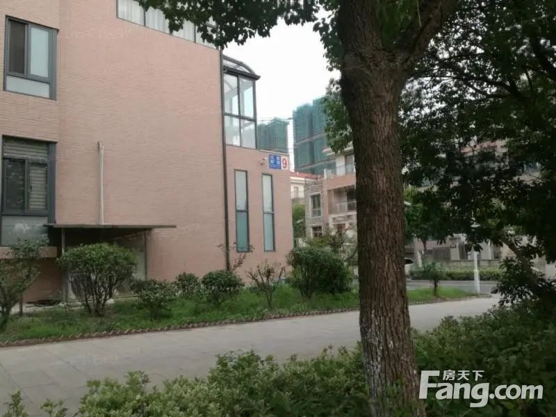 西太湖湖滨一号纯别墅区有天有地有院子