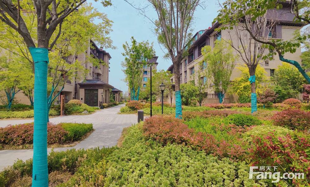 南北通透浞河九号4室3厅,潍坊高新清池浞河九号二手房 四室 - 房天下