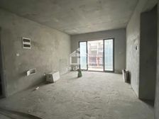 天池山·中脊4房2厅98.60万