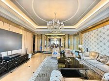 星河湾半岛 中高层江景豪宅 保养新 拎包入住 看房方便