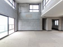 新出西太湖星河丹堤八区 洋房纯毛坯 挑高客厅随时看房