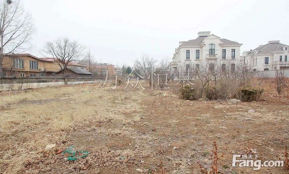 金科天玺6室4厅独栋别墅毛坯房