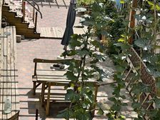 新城花园带院子 您买的不是房子 您买的是生活品质!