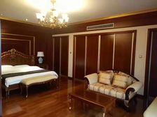 碧水庄园10室2厅精装修