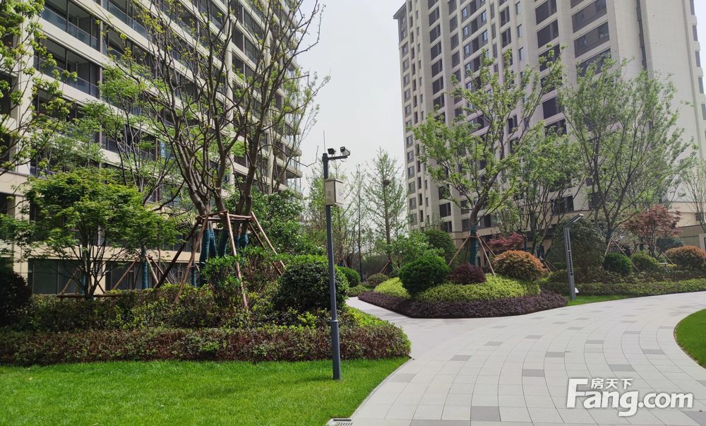 洛浦公园儿童医院旁丨格润小镇丨小高层大平层丨降价急卖