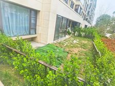 新上新加花园送50平方花园 洋房 房源采光好 南北通透