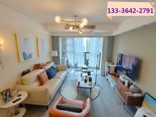 港深热盘 海雅商圈 轻轨16到广州南 首付13万 精装