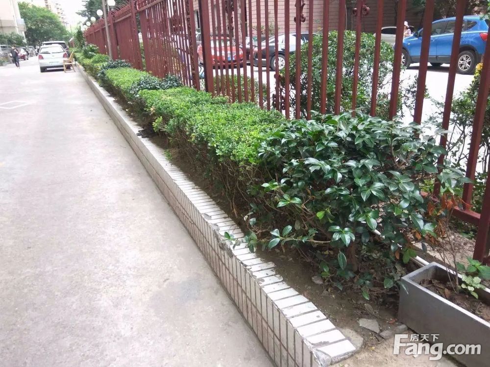 小区相关图