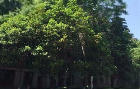 房源图片