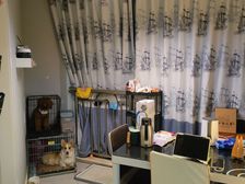滨海先锋1室1厅1卫西朝向72.0万元/套出售