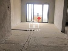 奥园园著 4室2厅114万