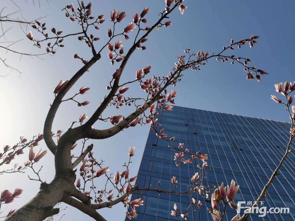 内景图