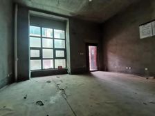 柏林山水别墅4室2厅