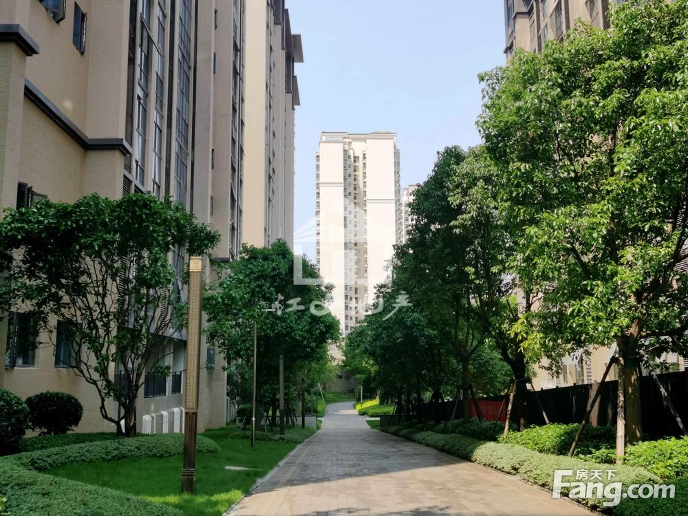 小区相关图