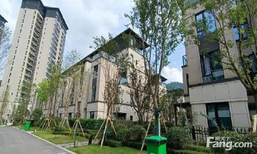 实景图