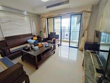 中层南向望花园 专车看房