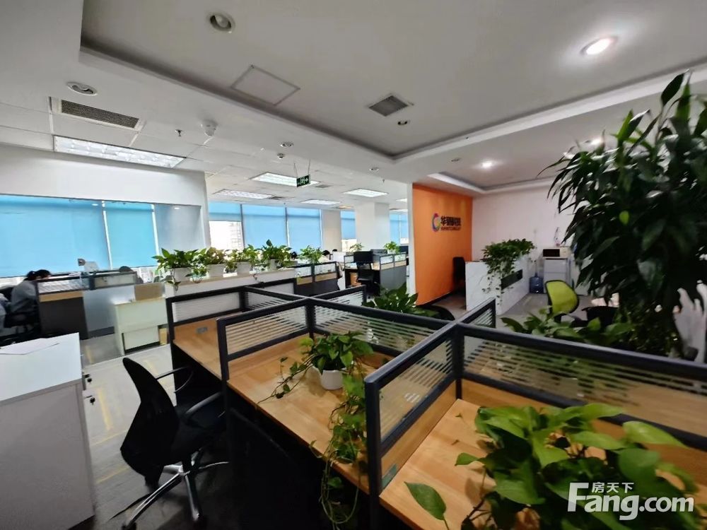 内景图