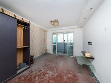 金桥·金东名苑·1室·1厅
