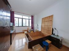 93年电梯房,小区环境好近dt,一室一厅户型正气