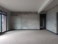 两江新区石马河 万科悦湾看江大平层 带车位 视野直临高尔夫