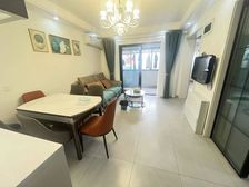 奉馨园 电梯房 南奉线站口500米 精装修 可拎包入住