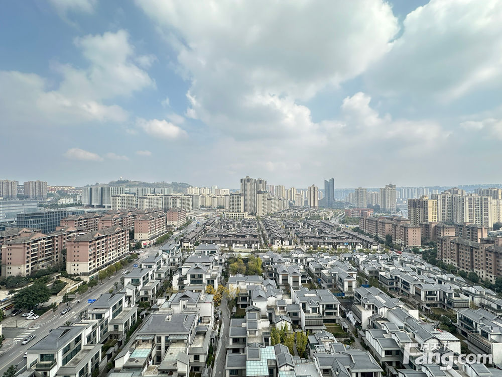 实景图