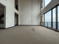 渝中区大房子,融创白象街+跃层看江