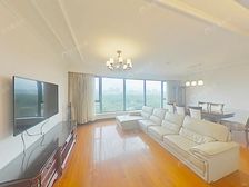 2号楼大平层,中区景观房,几年难出一套,有钥匙,诚意出售