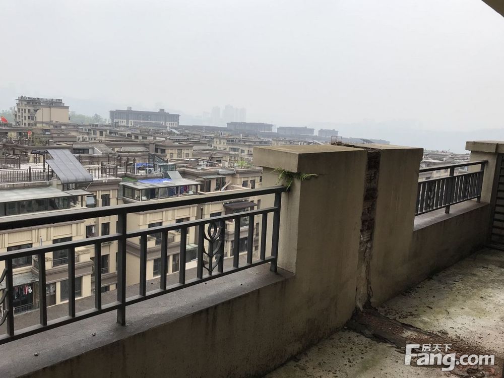 实景图