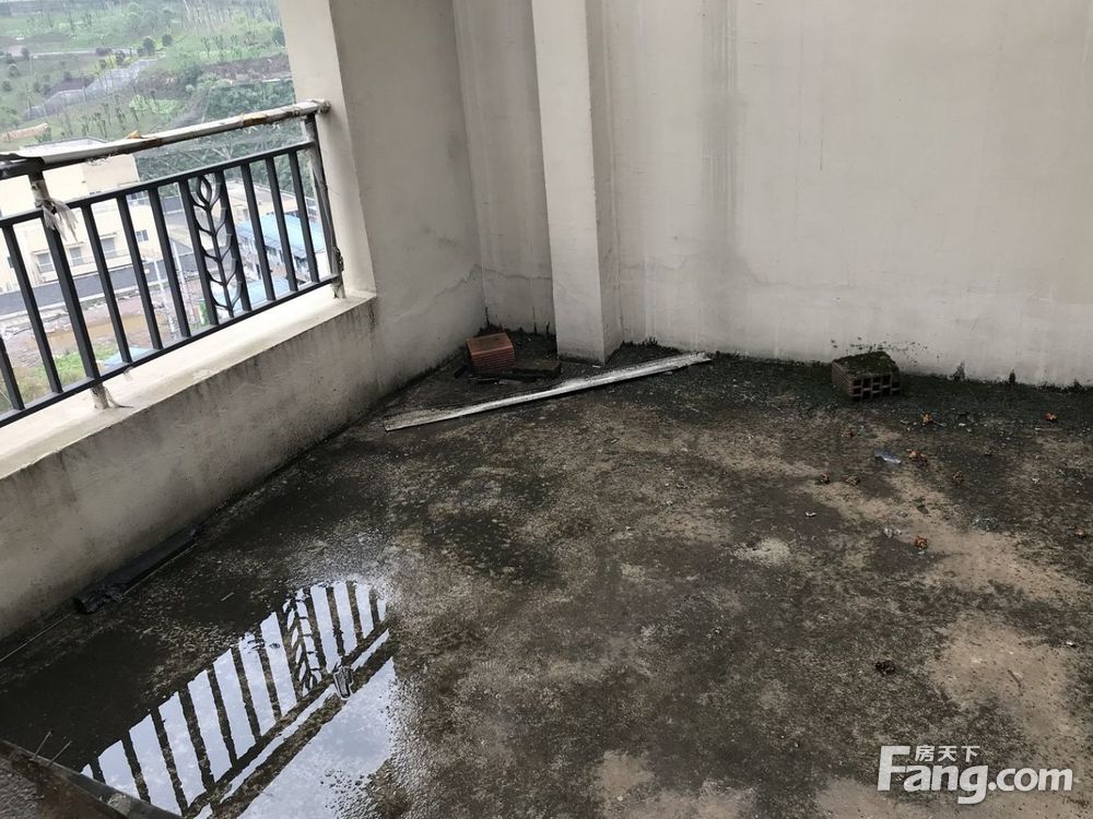 实景图