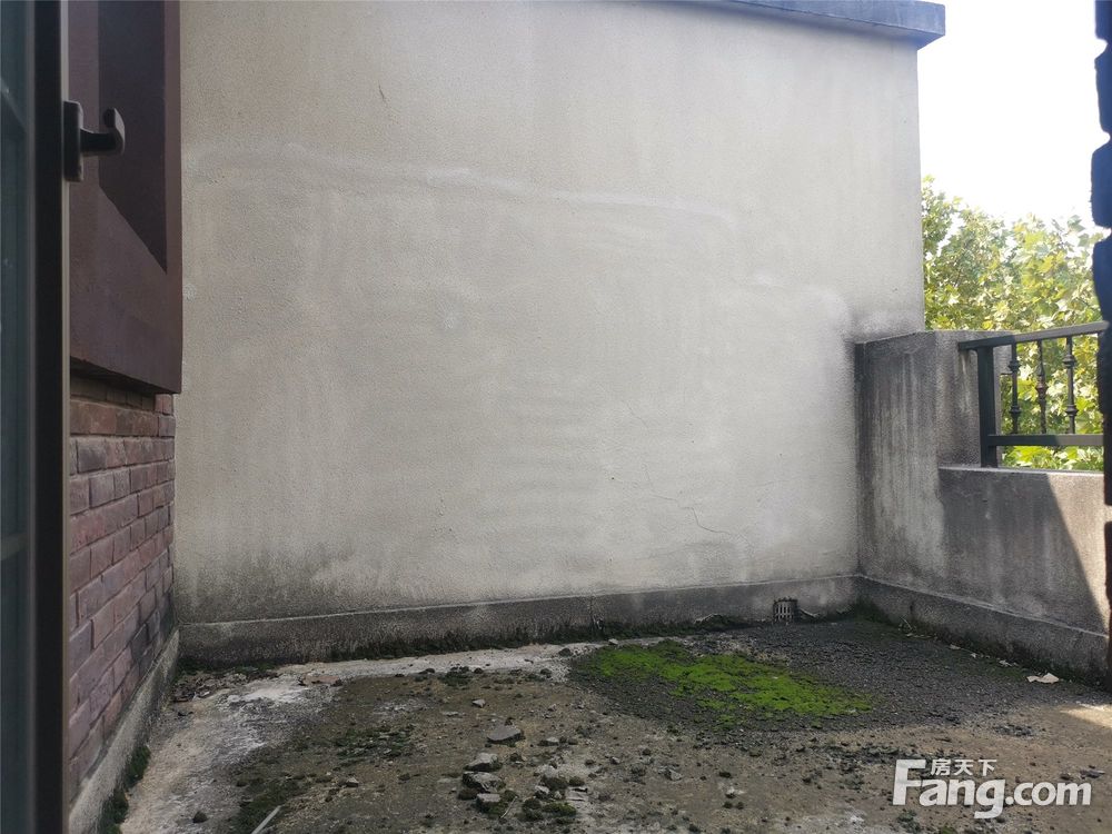 实景图