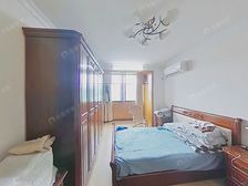 采光无限好,楼层好,出行方便,