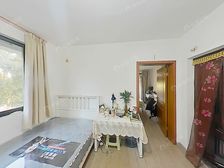 张江东+2号线创新中路电梯房+中间位置+视野佳