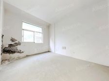 吴中龙湖天街边上 全新毛坯别墅 看房有钥匙