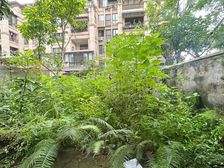 照母山0距离商圈轻轨洋房。博雅2+2结构 前后花园 保真!