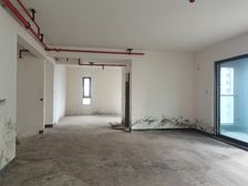 双主卧 看中庭 金辉中央铭著B区