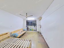 新出大一房适合自住或出租,楼层好 采光佳南北通