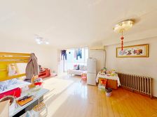 北苑望春园 精装一居 正对小区花园 景观好 满五