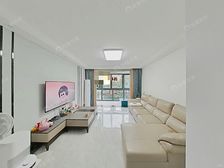 送精装50w诚售,白玉兰奖小区,南北通透,前后无遮挡,采光好