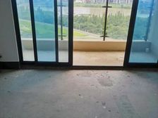 一线江景,纯住宅70年产权,低市价30万,正南户型好,甲A级