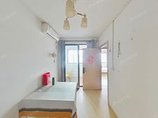 三林·城林雅苑·2室·1厅