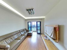 时代花生 3 房 76 方