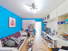 7号线新村路站300米 精装修一房一厅 电梯绿色楼栋 采光好