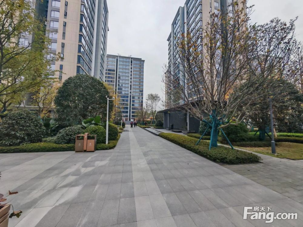 实景图