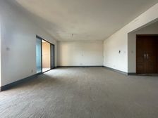 头排江景房 正看来福士 大平层 长嘉汇一期