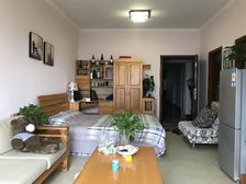 九龙坡区 朵力尚美国际 一房 42万